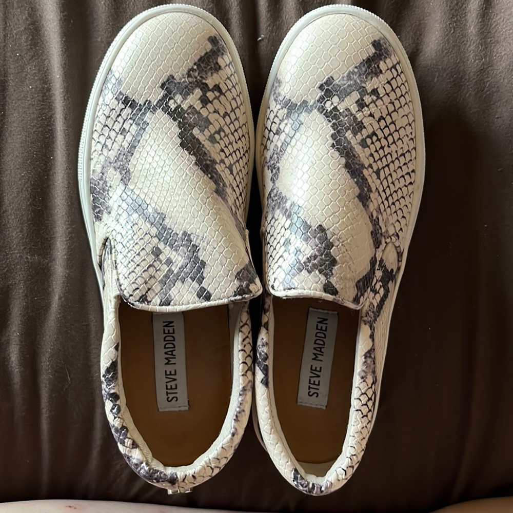 NWT Steve Madden snake print sneakers size 6